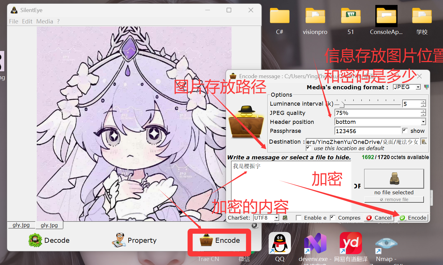 QQ_1780994602917